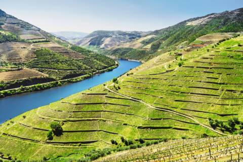 Pinhão, Portugal