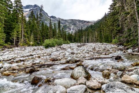 Rogers Pass