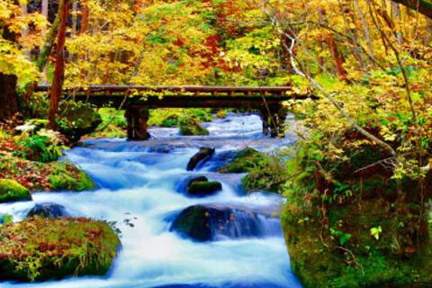 A view from Oirase Stream during Autumn