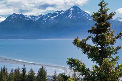 A panoramic view of Homer