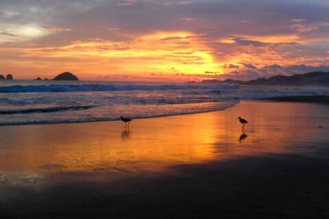 Zihuatanejo (Ixtapa), Mexico