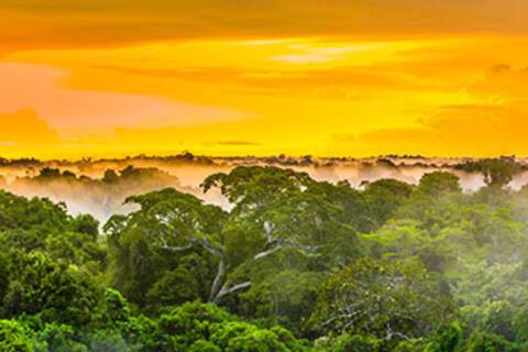 A view of the sunset over the Amazon