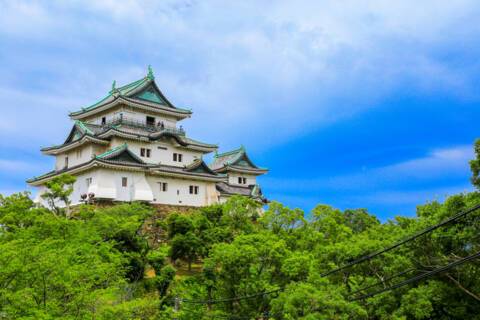 Wakayama (Shimotsu), Japan