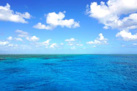 The Ribbon Reef Region, Australia