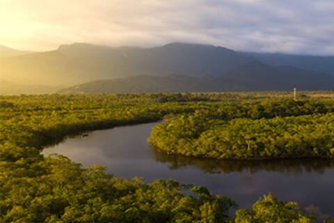 An aerial view over the Amazon River