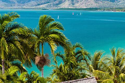 A panoramic view of a beach in Port Douglas