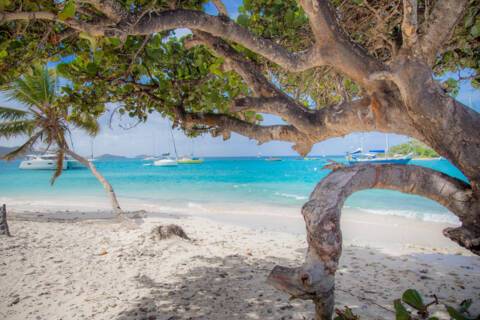 Tobago Cays, Grenadines