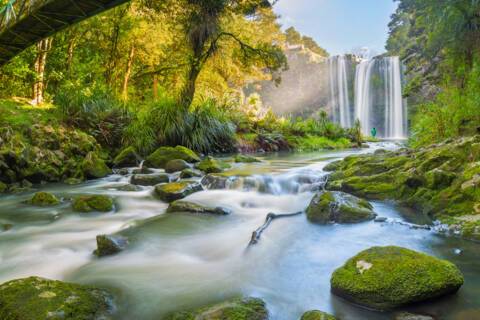 Whangarei Falls, New Zealand