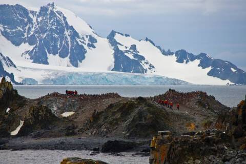 Half Moon Island, Antarctica