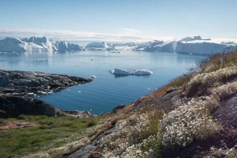 Greenland, Arctic