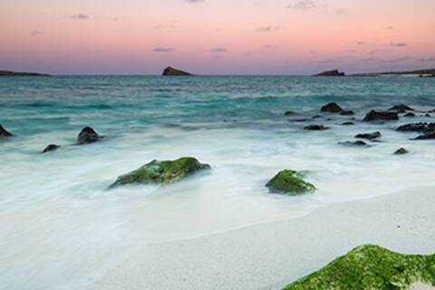 Galapagos Islands