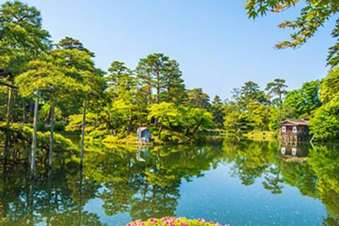 The view of Kenrokuen Garden in Kanazawa