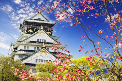 Cruises to Japan