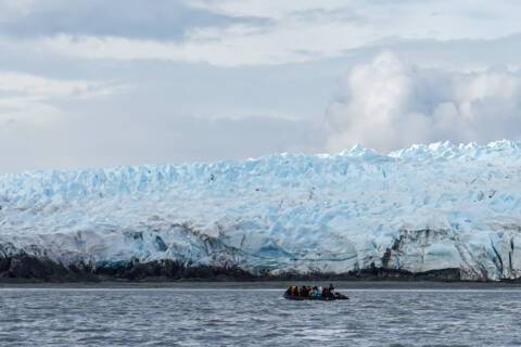 Pio XI Glacier, Chile