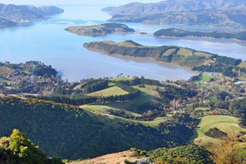 A panoramic view of Lyttelton