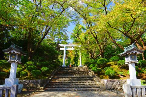 Traditional Shrine in Niigata