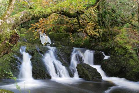 Glengarriff, Ireland