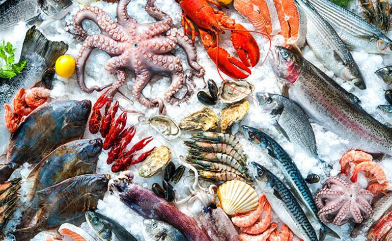 Best seafood around the world | ROL Cruise Blog